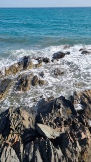 2024-01-Paseo_Costa_Canaria-San_Agustin-Ingles-079.jpg